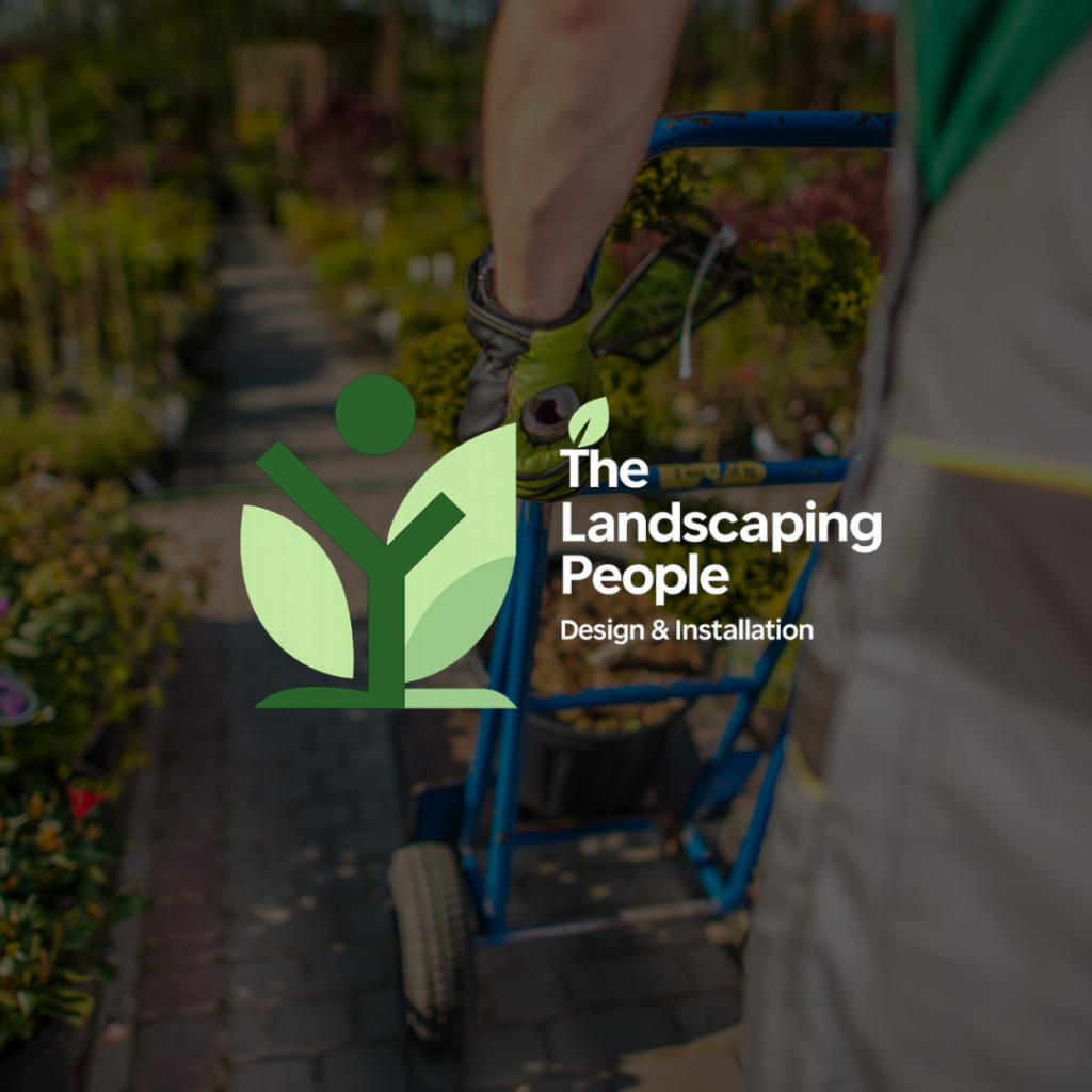 Landscaping Design & Installation